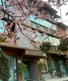 Gramado City Centre Apartamento | LUXUOSO APT ALMERIS PECCIN no Centro de GRAMADO