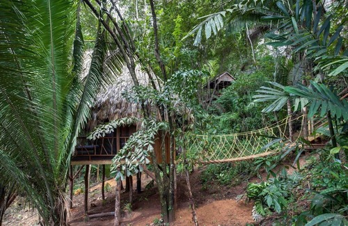 Negroman Casa | Luxurious New-Build Treehouse w/ King Bed & A/C - Amazing Jungle & River Views