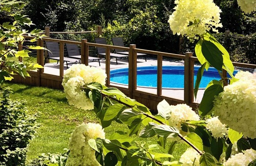 Prince Edward Casa | Luxurious Vacation Retreat - Pool, basketball court, pizza oven, central in PEC