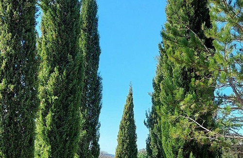 Monteils Villa | Luxurious villa in ales en cevennes