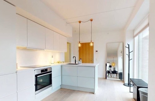 Copenhagen Apartamento | Luxury Executive Harbour Penthouse