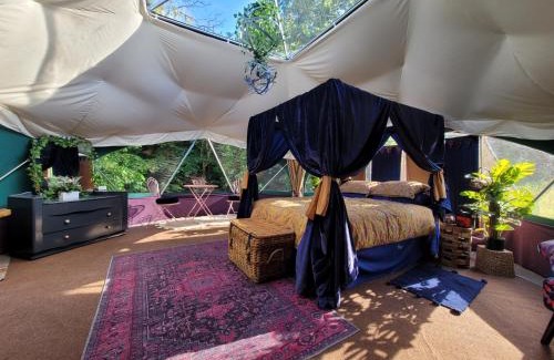 Narberth Otro | Luxury Glamping in the Stargazer Dome or Woodlove Yurt - Beautiful Private Setting close to Narberth