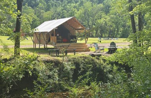 Newport Otro | Luxury Glamping Near Gatlinburg and Asheville