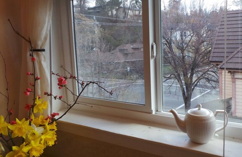 Placerville Apartamento | Luxury Guest Apartments-Pasos de Main St Placerville - Iris suite