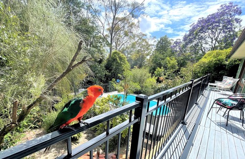 Winmalee Casa | Luxury Mountain Retreat, Swimming Pool, A/C with Forest Views