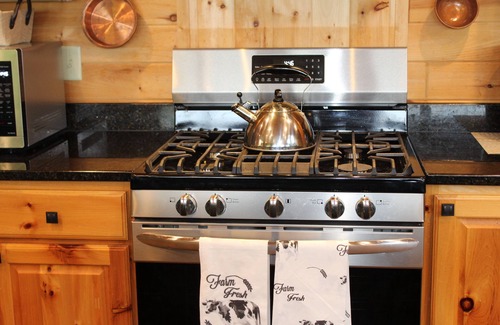 Minong Cabina | Luxury North Woods Lake Home in Minong, WI