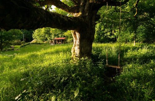 Clachan of Campsie Casa | Luxury Off-Grid Cabin with Outdoor Bath in Scotland