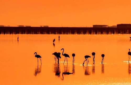 Poble Nou del Delta Casa | Luxury refuge amidst the nature reserve El Delta del Ebro