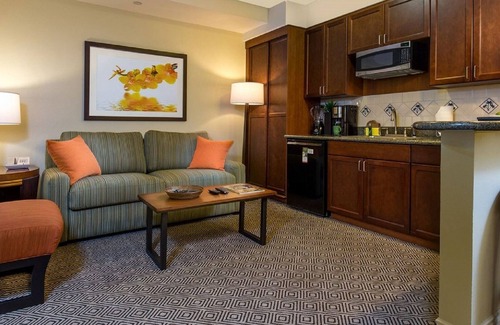 Las Vegas Complejo | Luxury Resort & Spa Junior Suite 1 cama / 1BA + Sofá cama Kitchenette