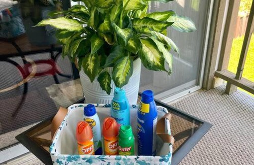 Kemp Casa | Luxury Retreat/Boat Rentals Available!