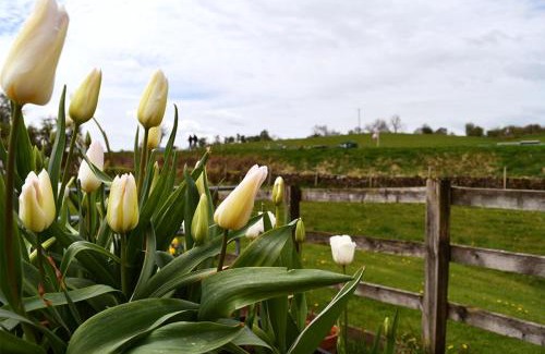 Colne Apartamento | Luxury Self-Catering Apartment