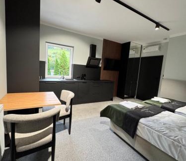 Rieneck Apartamento | Luxus Studio in Rieneck