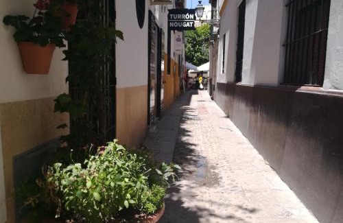 Santa Cruz Apartamento | Luz Y Tranquilidad Barrio De Sta Cruz