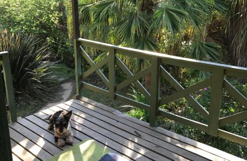 Partido de Tigre Casa | Mágica casita isleña