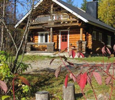 Lapinlahti Chalet De Esquí | Mäkitorppa