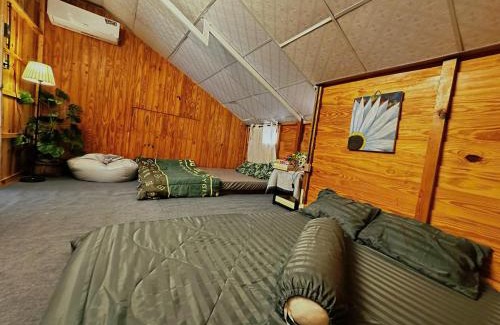 Da Lat Hotel | Mộc Ân Homestay - Đà Lạt