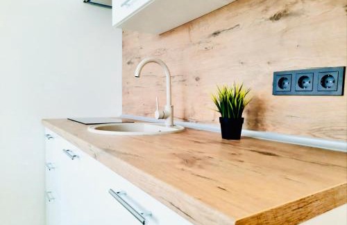 Panevezys Apartamento | M&M Apartment VII Self CHECK-IN