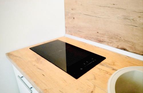 Panevezys Apartamento | M&M Apartment VII Self CHECK-IN