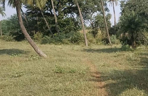 Rau Casa | M se maati village stay