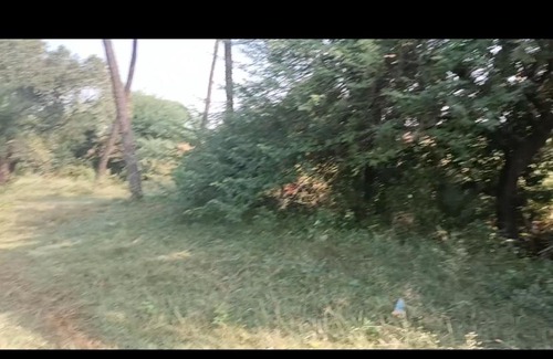 Rau Casa | M se maati village stay