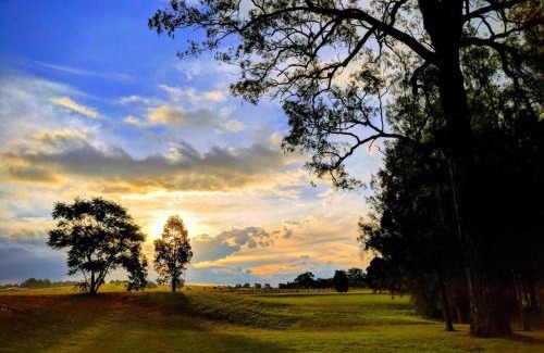 Lovedale Casa | Madigan Cottages - The Homestead
