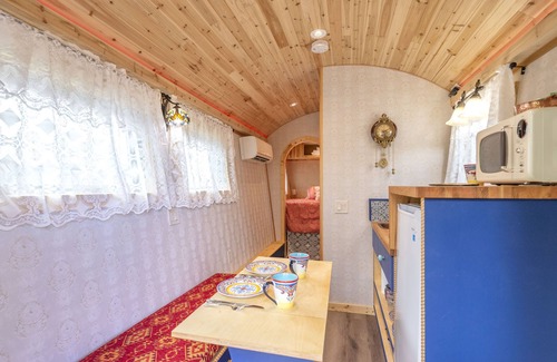 Fairplay Cabaña | ☆ Magical Gypsy Wagon ☆ Unique Mountain Getaway
