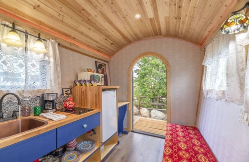 Fairplay Cabaña | ☆ Magical Gypsy Wagon ☆ Unique Mountain Getaway