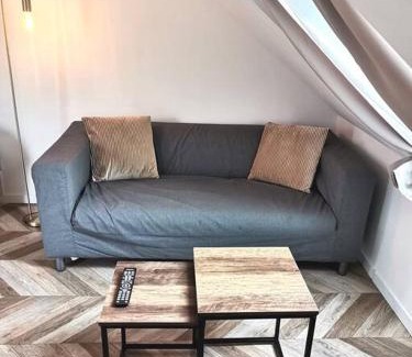 Saint-Barthelemy-d'Anjou Apartamento | Magnifique studio avec extérieur