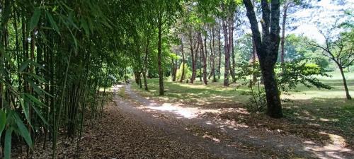 Rives de l'Yon Villa | Magnifique villa 5 etoiles avec piscine privee parc 2 ha