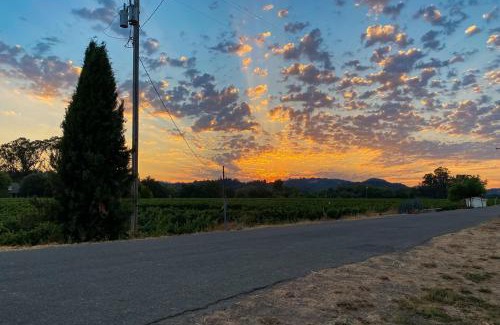 Healdsburg Casa | Magnolia Ranch Vineyards