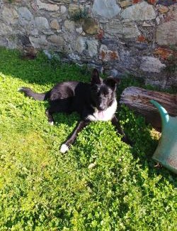 Montieri Apartamento | Magrignano