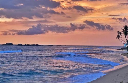 Thiranagama Hotel | Main Reef Guest House