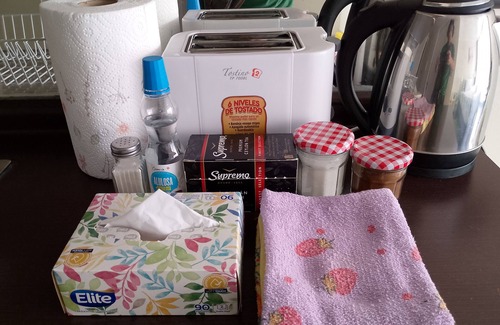 Downtown Santiago Apartamento | Un bombón en Santiago centro