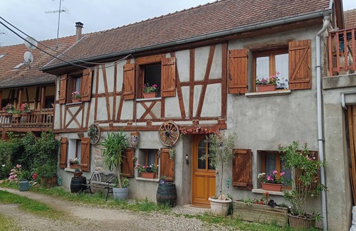 Bergheim Casa | Maison à Colombages Dans Cour Privée Avec Jardin sur les Remparts du Village