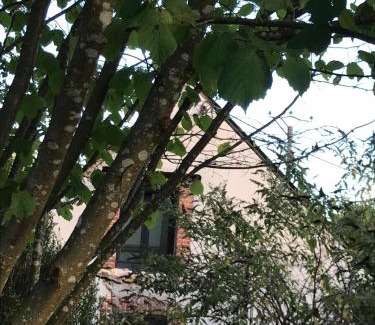 La Chapelle-dʼAngillon Casa | Maison à la Campagne