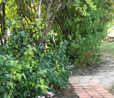 La Chapelle-dʼAngillon Casa | Maison à la Campagne