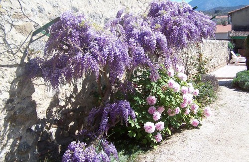 Prades Cama Y Desayuno | Maison 225