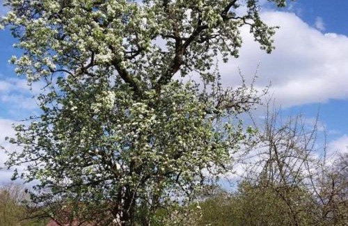 Champsecret Casa | Maison ancienne avec jardin clos, animaux acceptés, près de la forêt - FR-1-497-15