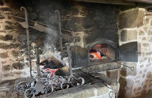 Laprugne Casa | Maison Authentique avec Jardin et Cheminée, Animaux Acceptés, Parking, Internet - FR-1-489-184