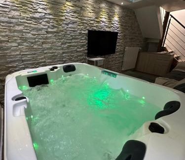 Maisdon-sur-Sevre Casa | Maison avec spa