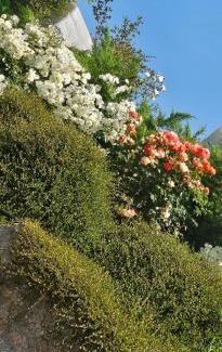 Grosseto-Prugna Apartamento | Maison Bois