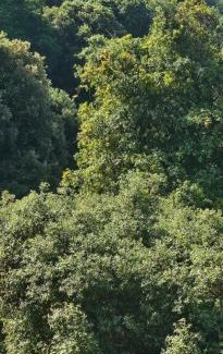 Grosseto-Prugna Apartamento | Maison Bois