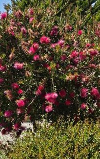 Grosseto-Prugna Apartamento | Maison Bois