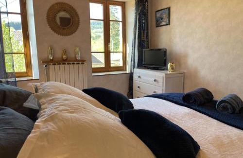 Laprugne Casa | Maison cocooning à la montagne - activités nature, cheminée, jardin clos, animaux bienvenus - FR-1-489-448