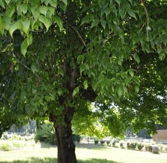 Auros Cama Y Desayuno | Maison d'Emmannaelle