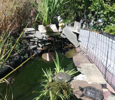 Oasis - Maroc Casa | Maison d'hôte avec jardin