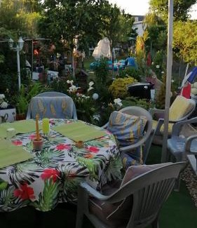 Oasis - Maroc Casa | Maison d'hôte avec jardin