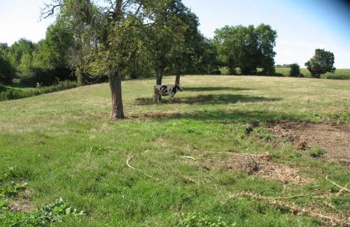 Bures Casa | Maison de caractère à Bures, proche du Perche avec jardin et Wi-Fi - FR-1-497-124
