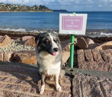 Perros-Guirec Apartamento | Maison de village au Linkin