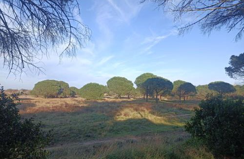 Vias Casa | Maison "Douceurs d'Été " Maison de vacances bord de mer à Vias plage - 600m de la plage et du Canal du Midi - Piscine résidentielle, wifi fibre, Activités et Loisirs